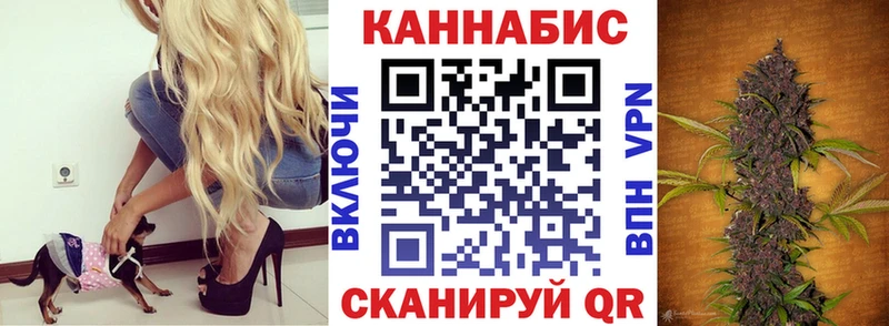 Бошки Шишки сатива  где купить наркоту  Каргат 
